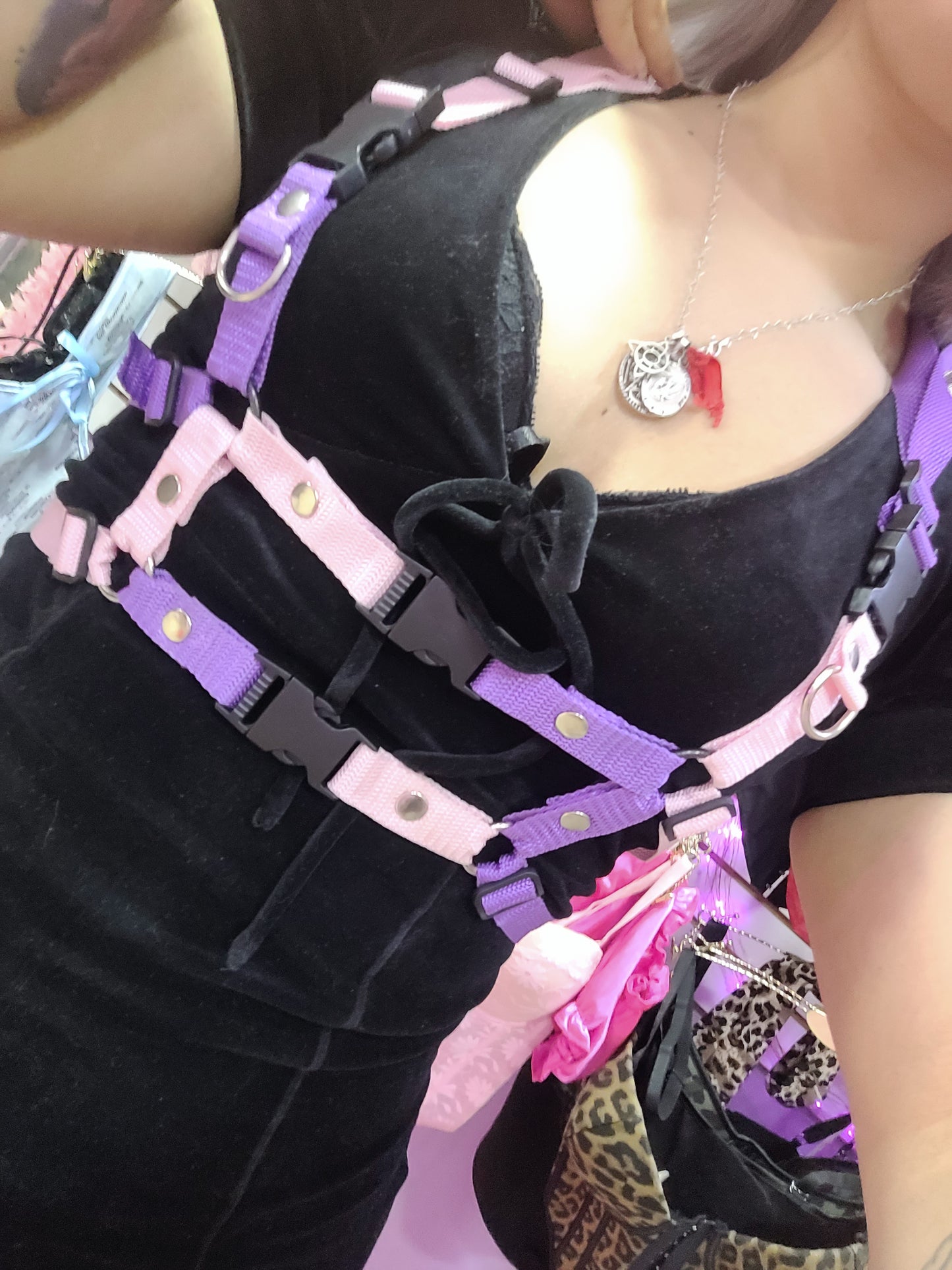 Arnes rosa&morado doble